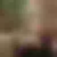 Live sex webcam photo for TiffanyMiss #277828668