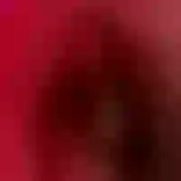 Live sex webcam photo for Tracie_lady #277559719