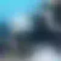 Live sex webcam photo for Vintage_Dream #276652480