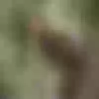 Live sex webcam photo for VirginiaKathy #277722409