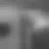 Live sex webcam photo for Vitalex_8 #276046251