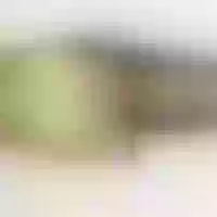 Live sex webcam photo for WILDKITTENxxx #277061350
