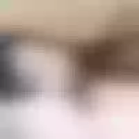 Live sex webcam photo for Yaikun0-0