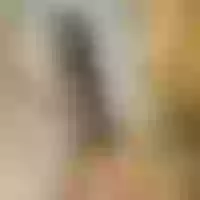 Live sex webcam photo for Your_Michelle #277047331