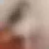 Live sex webcam photo for ZoeLeLark #275961175