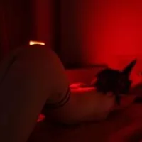 Live sex webcam photo for _lina_loven #276593796