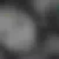 Live sex webcam photo for aishai_gold1 #277455768