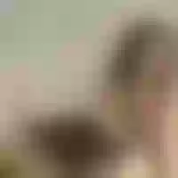 Live sex webcam photo for alana_johnson #278154558