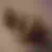 Live sex webcam photo for antoniaevance #276572448