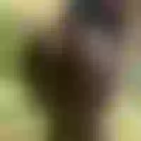 Live sex webcam photo for bigass-bae #277554773