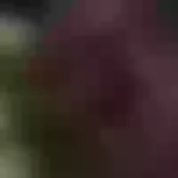 Live sex webcam photo for blackcyd