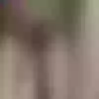 Live sex webcam photo for blondescandoit