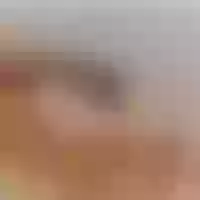 Live sex webcam photo for brianaharrizoon1