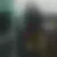 Live sex webcam photo for cat_gh #277527503