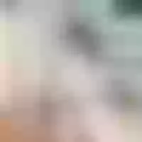 Live sex webcam photo for damn_that_booty