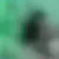 Live sex webcam photo for elisabell_1 #276879714