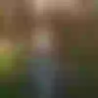 Live sex webcam photo for graceshoul #277561418