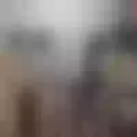 Live sex webcam photo for group_nolimits_party69 #276381117