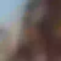 Live sex webcam photo for jasmine_curlyy #277575296