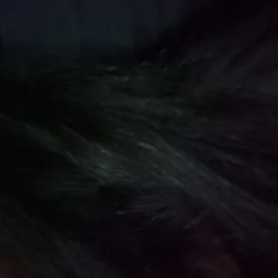 Live sex webcam photo for jelleleap #275471510