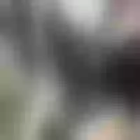Live sex webcam photo for jiajia-1 #277609325