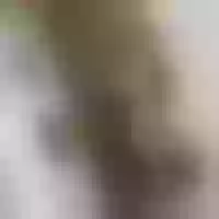 Live sex webcam photo for kandy_girl23 #277670330