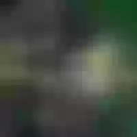 Live sex webcam photo for kenllyhot_and_valeriahell