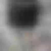 Live sex webcam photo for khu_yam
