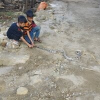 Live sex webcam photo for launu #277812560