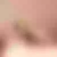 Live sex webcam photo for lauracastanho #277033732