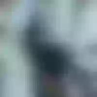 Live sex webcam photo for leah_blake #275941806