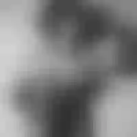 Live sex webcam photo for lexa_25_