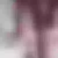 Live sex webcam photo for littlemelii