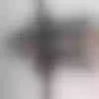 Live sex webcam photo for lizz_taylor1 #277920319