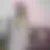 Live sex webcam photo for luccy_28 #277746516