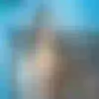 Live sex webcam photo for maid_petite #276151743