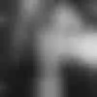 Live sex webcam photo for marcela_18 #277713170