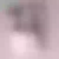 Live sex webcam photo for melaninebony1