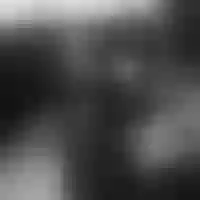 Live sex webcam photo for meoweve #277750224