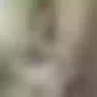 Live sex webcam photo for mildred-26 #276707347