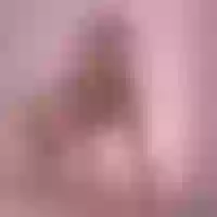 Live sex webcam photo for minidivaa_