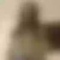 Live sex webcam photo for miss_chelse #276760161