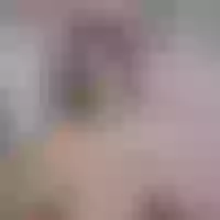Live sex webcam photo for moon__flowers #275939606