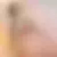 Live sex webcam photo for ninna_watson #277979547