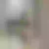 Live sex webcam photo for pink_ilmall #277637246