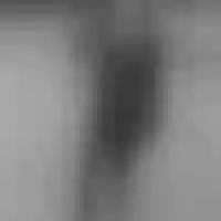 Live sex webcam photo for pretty_kyllian #277689160