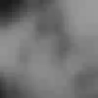 Live sex webcam photo for rosy_suand #277115362