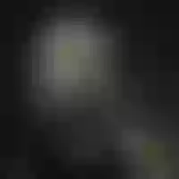 Live sex webcam photo for rubylady #277837778