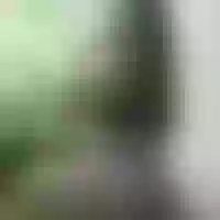 Live sex webcam photo for salo_ortiz #276231309