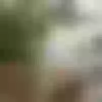 Live sex webcam photo for samanta__smithx